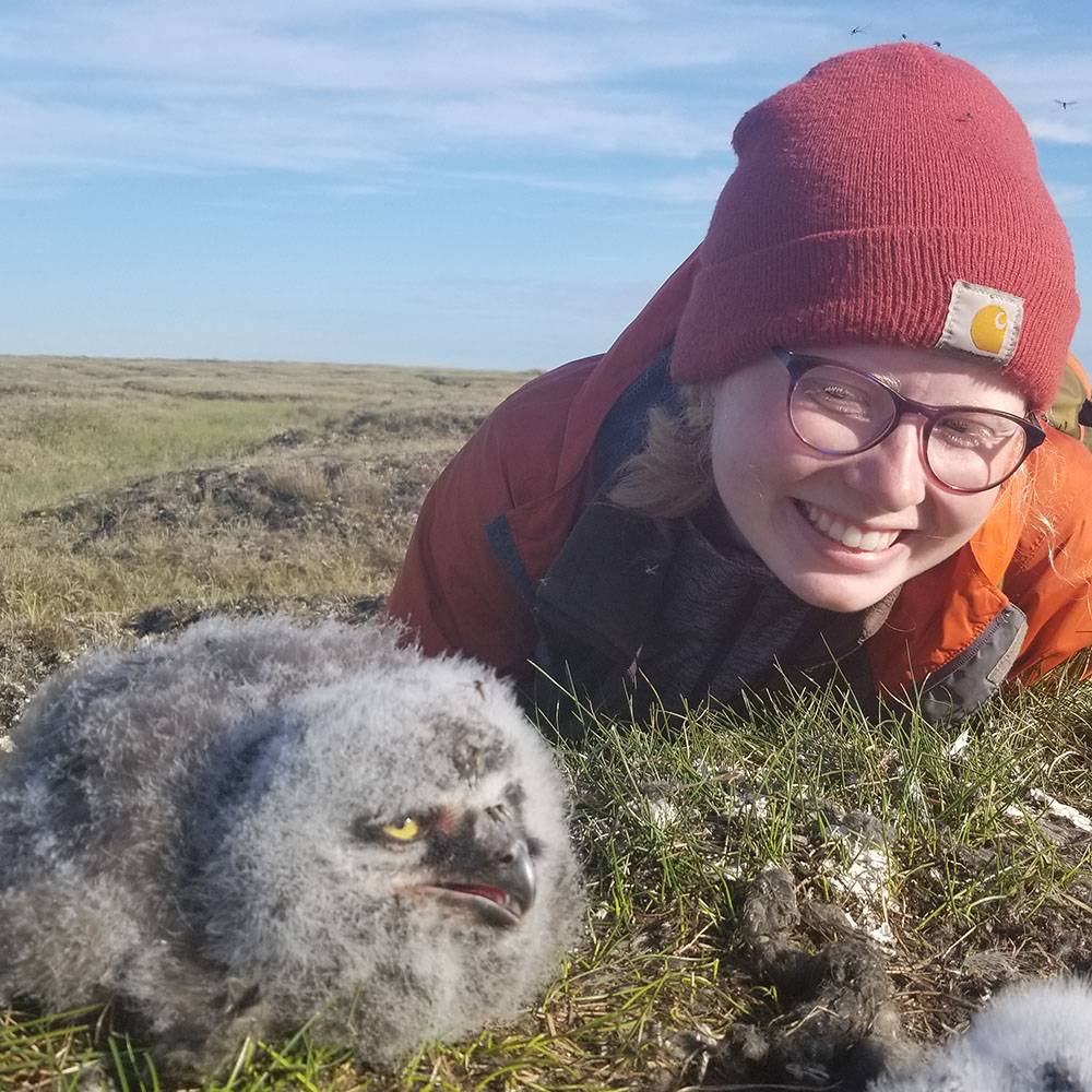 Hana smiles at an owl chick on tundra.